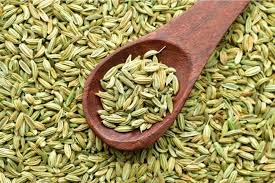 Saunf (Fennel Seeds) 100gm