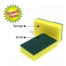 Scotch Shino Scrub Regular